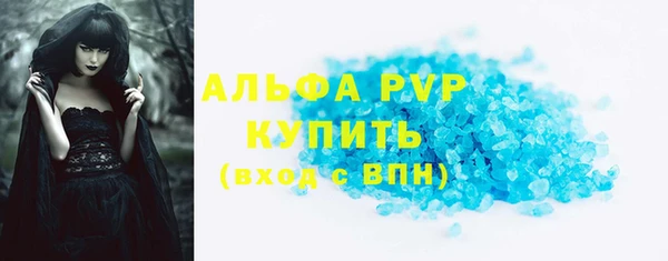 стаф Алексин