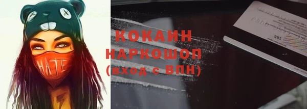 стаф Алексин