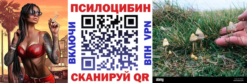 Псилоцибиновые грибы ЛСД  что такое наркотик  Туринск 